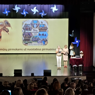 2026-06-04 Žibų spinduliukų šventė