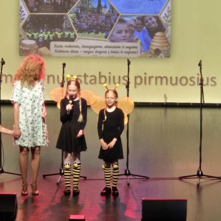 2026-06-04 Žibų spinduliukų šventė