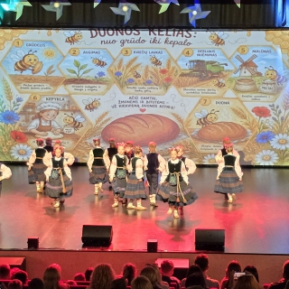2026-06-04 Žibų spinduliukų šventė