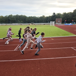 Europos mokyklų sporto diena 2026
