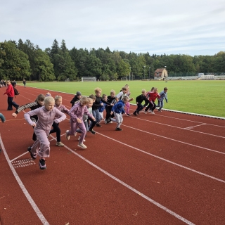 Europos mokyklų sporto diena 2026