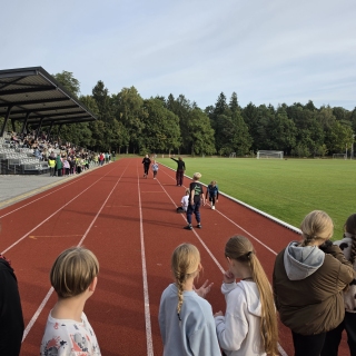 Europos mokyklų sporto diena 2026