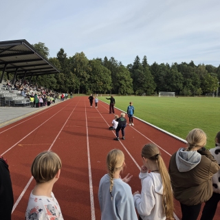 Europos mokyklų sporto diena 2026