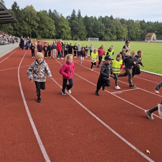Europos mokyklų sporto diena 2026