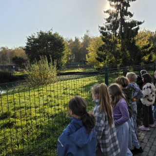 Geriausios pamokos vyksta tada, kai teoriją galime paliesti patys!
