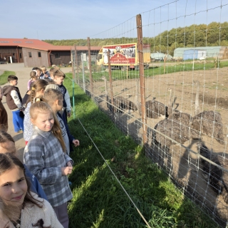 Geriausios pamokos vyksta tada, kai teoriją galime paliesti patys!