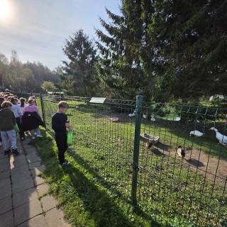 Geriausios pamokos vyksta tada, kai teoriją galime paliesti patys!