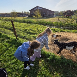 Geriausios pamokos vyksta tada, kai teoriją galime paliesti patys!