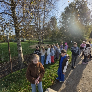 Geriausios pamokos vyksta tada, kai teoriją galime paliesti patys!