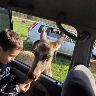 Geriausios pamokos vyksta tada, kai teoriją galime paliesti patys!