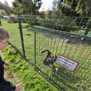 Geriausios pamokos vyksta tada, kai teoriją galime paliesti patys!